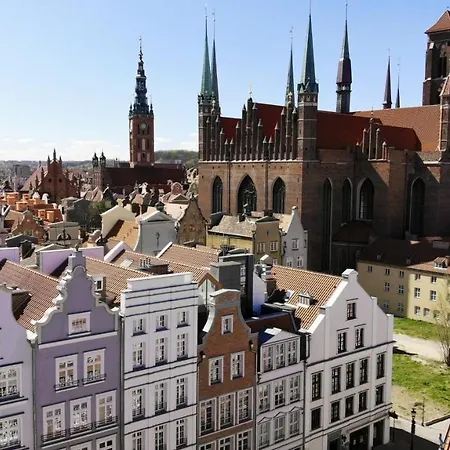 Viu Indigo *